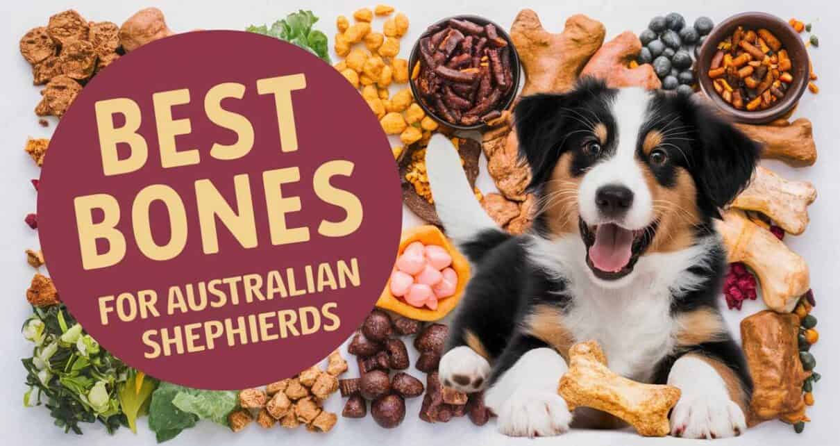 Best Bones for Australian Shepherds