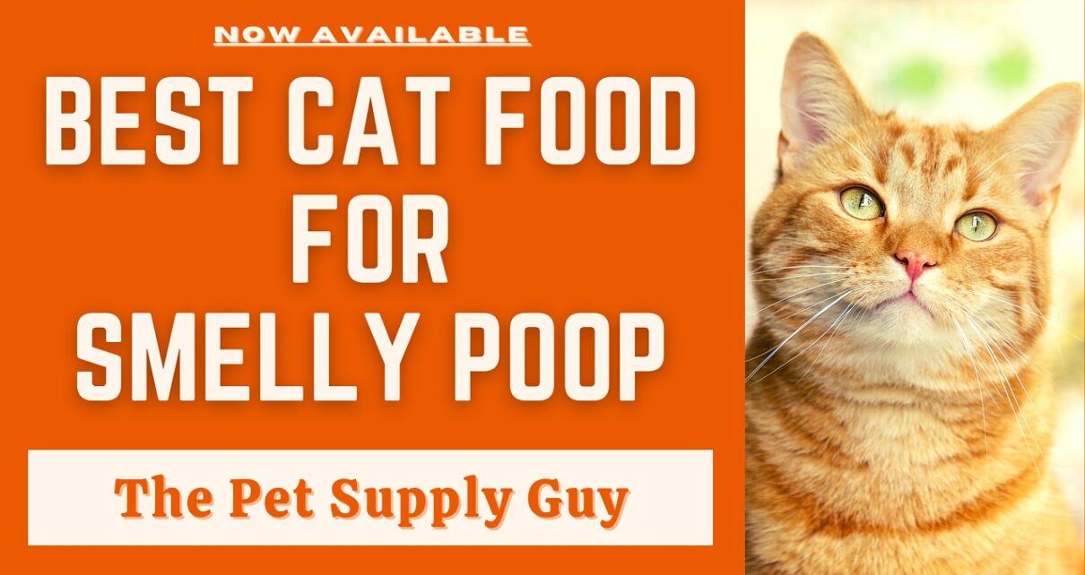 Best Cat Food for Less Smelly Poop