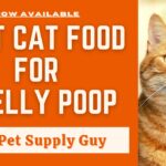Best Cat Food for Less Smelly Poop