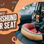 Best Dachshund Car Seat