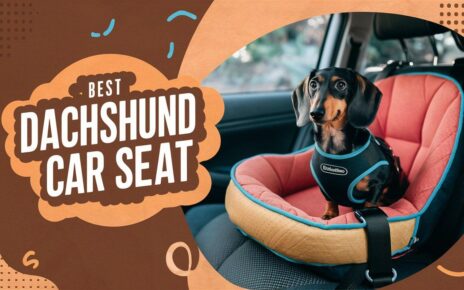 Best Dachshund Car Seat