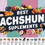 Best Dachshund Supplements