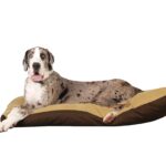 Best Dog Bed for Giant Breeds