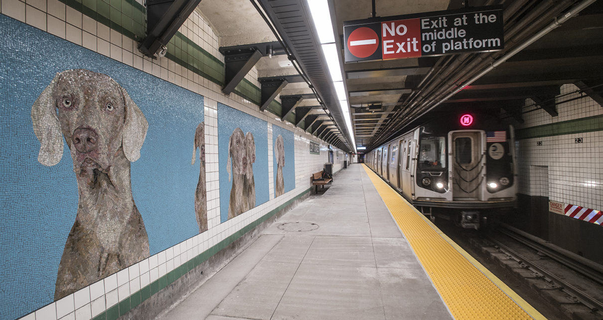 Best Dog Carrier for Subway - Photos - Patrick J Cashin - Metropolitan Transportation Authority CC BY 2.0