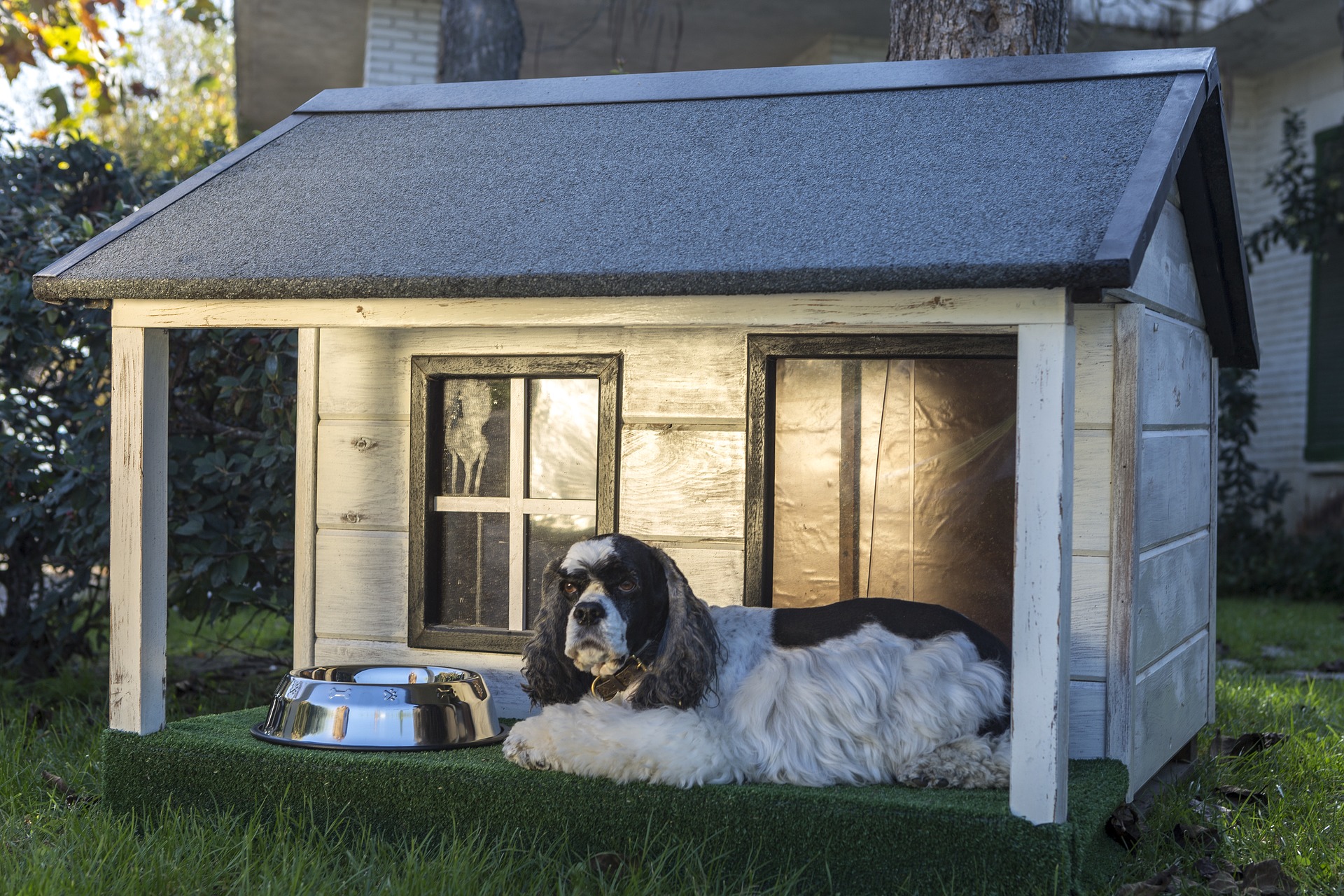 Best Dog House for Hot Weather - The 
