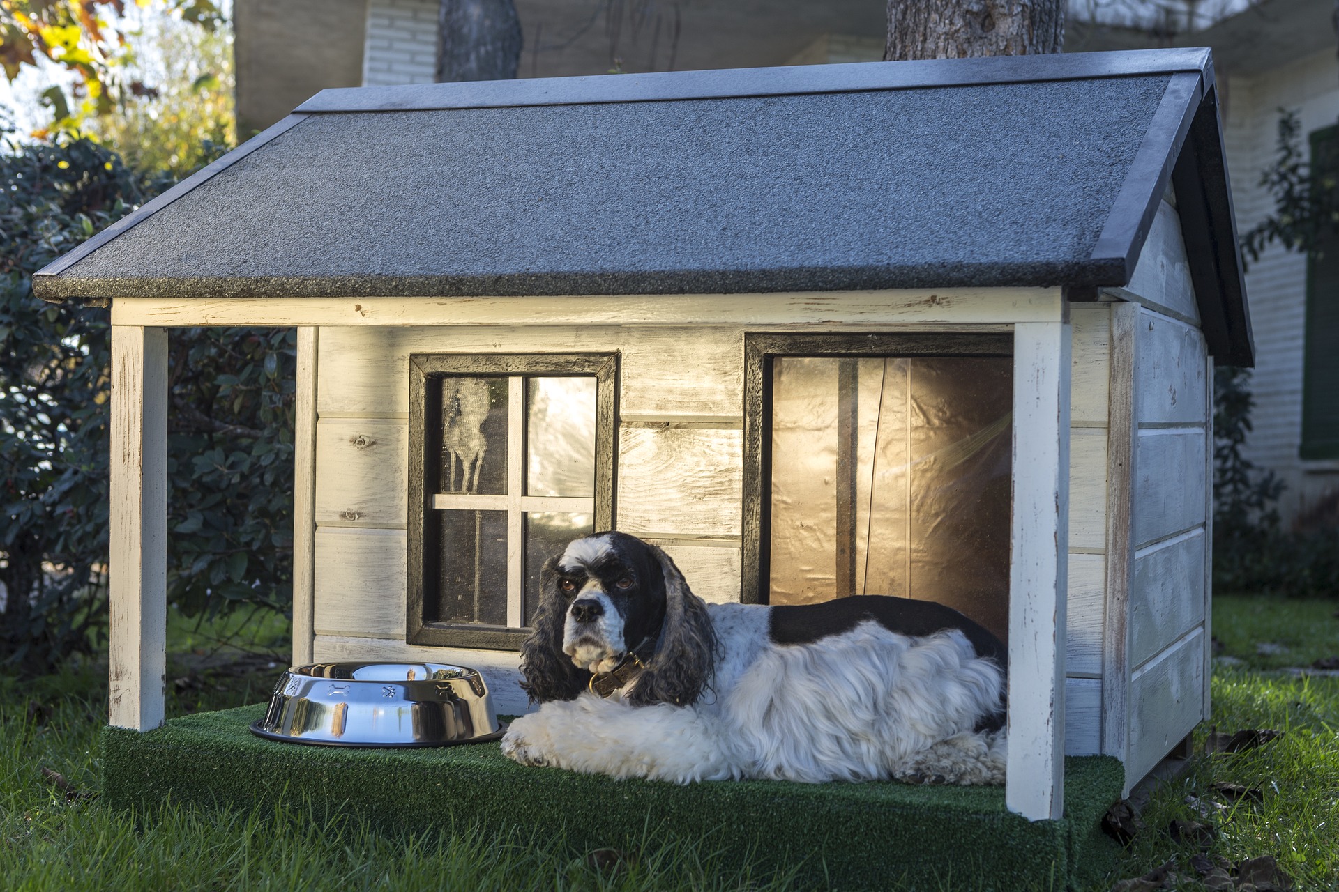 best dog house for hot weather