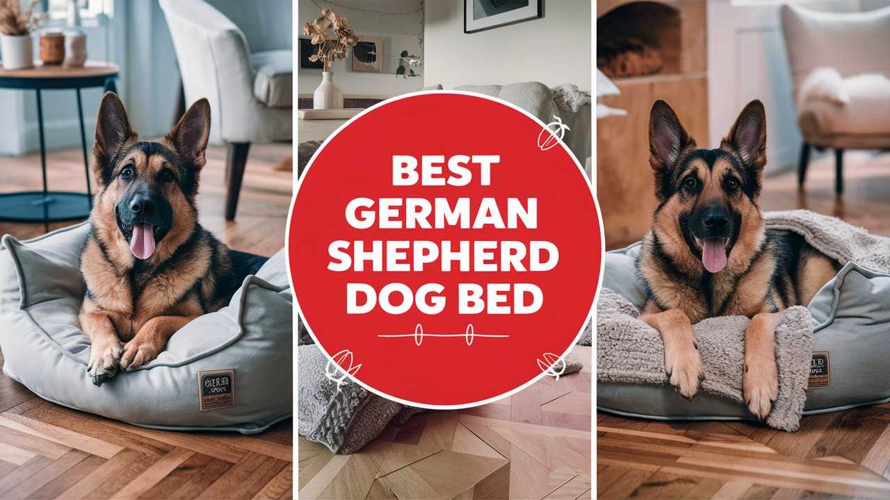 Best German Shepherd Dog Bed The Pet Supply Guy