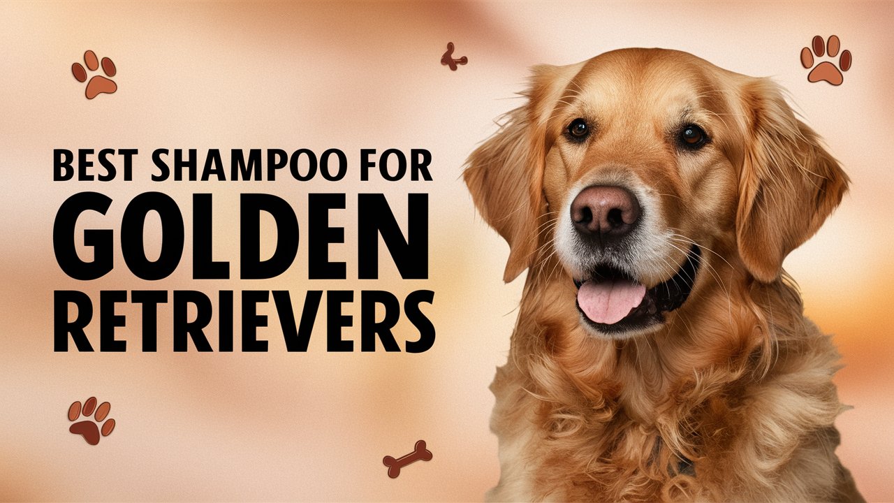 Picture of Best Shampoo for Golden Retrievers - The Pet Supply Guy