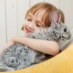 Best Small Pets for Toddlers