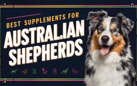 Best Supplements for Australian Shepherds