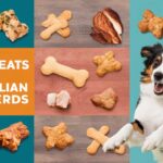 Best Treats for Australian Shepherds