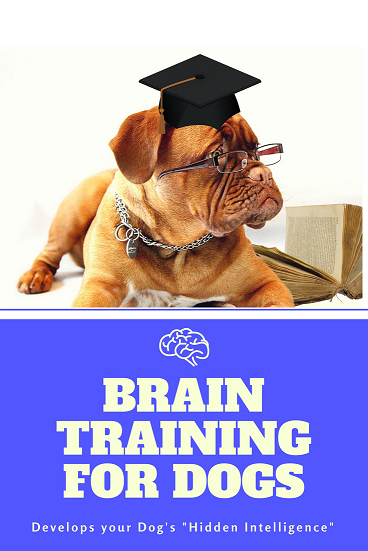 Brain Training for Dogs - Copy