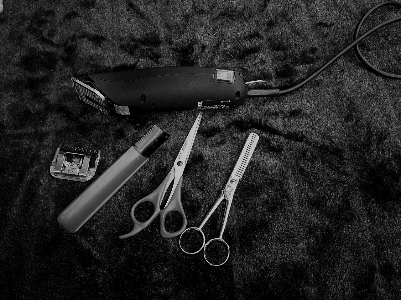 Can You Use Regular Clippers on a Dog - The Pet Supply Guy