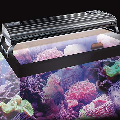 Best Lighting For C Reef Aquariums, T5 Aquarium Light Fixtures