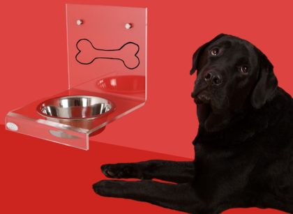 Dog Calorie Requirement Calculator