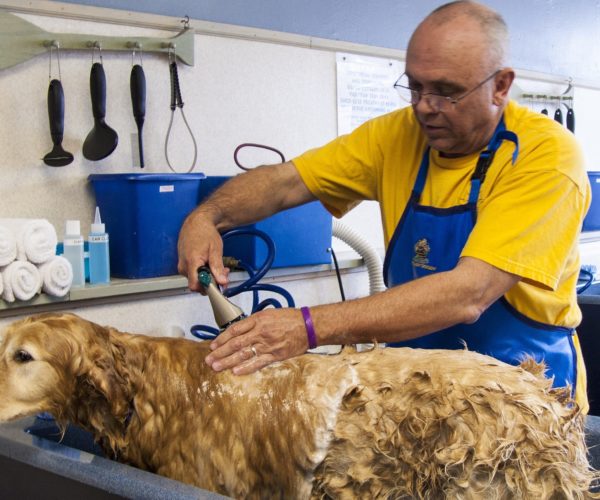 Dog Groomer Tip Calculator