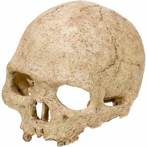 Exo-Terra Primate Skull Hideaway