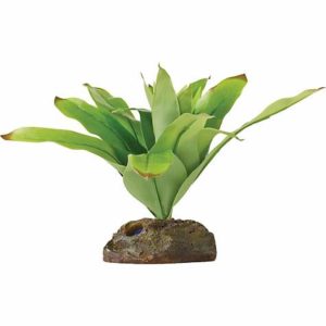 Exo-Terra Smart Plant Dart Frog Bromelia Terrarium Plant