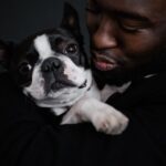 Gifts for Boston Terrier Lovers