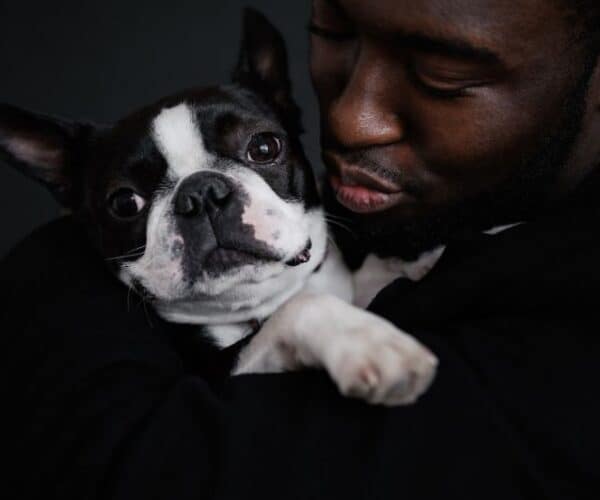 Gifts for Boston Terrier Lovers