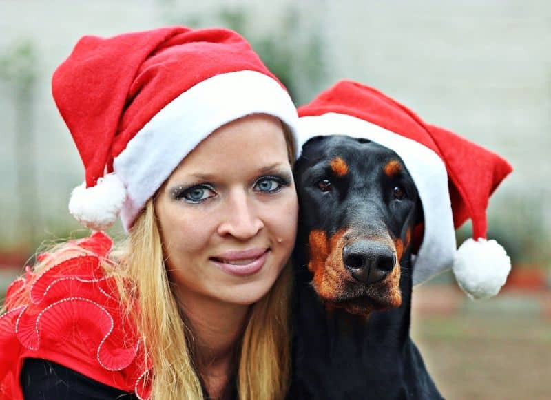 Gifts for Doberman Lovers
