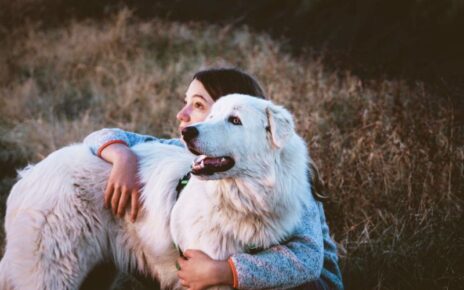 Gifts for Great Pyrenees Lovers