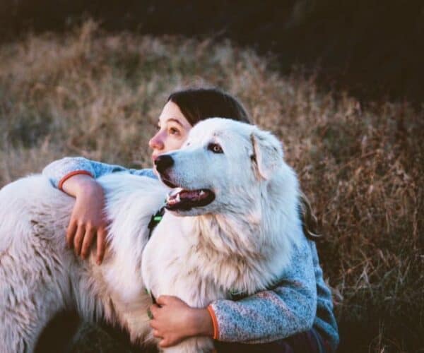Gifts for Great Pyrenees Lovers