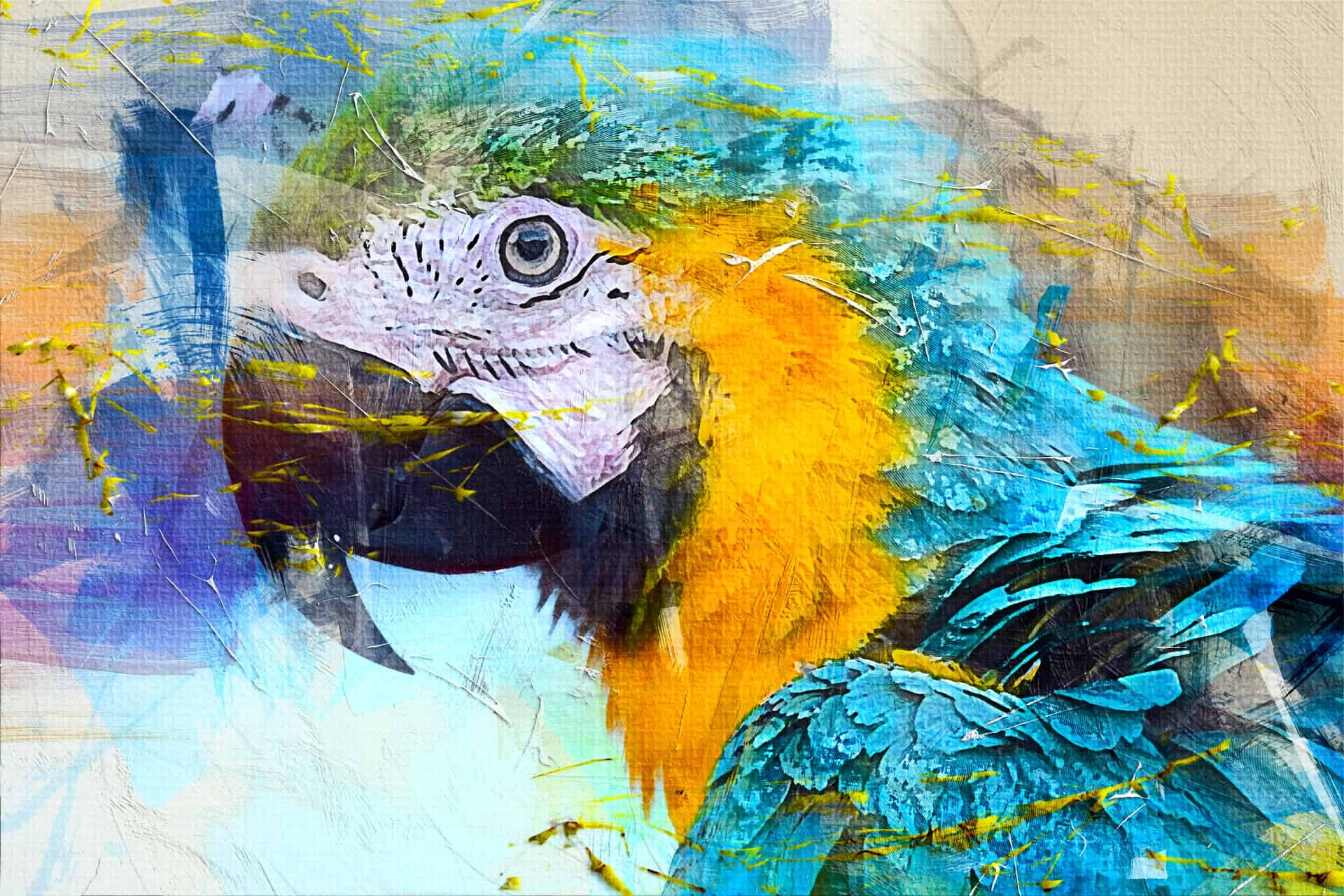 Попугай ара абстракция