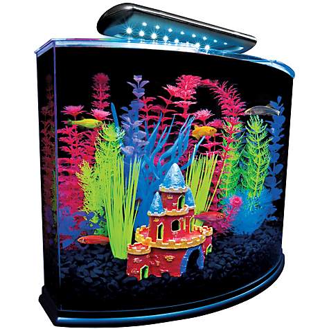 GloFish 5 Gallon Crescent Aquarium Kit