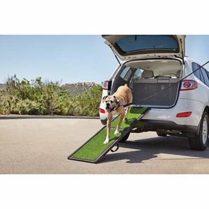 dog ramps for motorhomes