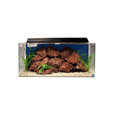 How Many Fish Can be in a 30 Gallon Tank -SeaClear 30 Gallon System II Aquarium Combo, Cobalt Blue