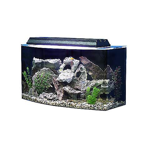 How Many Fish in a 36 Gallon Bowfront -SeaClear 36 Gallon Bowfront Aquarium Combo, Clear