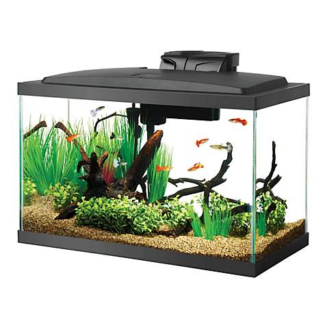 How Much Does a 10 Gallon Fish Tank Weigh- Aqueon 10 Gal LED Aquarium Kit