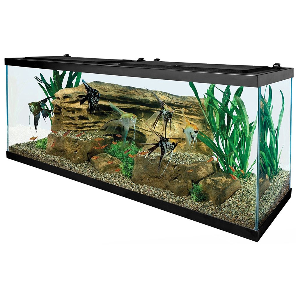 How Much Does a 55 Gallon Fish Tank Weigh -Tetra 55 Gallon Aquarium Kit