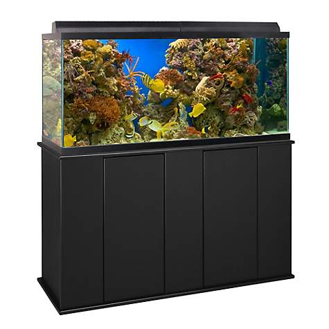 How Much Does a 75 Gallon Fish Tank Weigh - Aquatic Fundamentals Black Upright Aquarium Stand - for 75 and 90 Gallon Aquariums