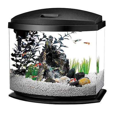 How Much Gravel for a 5 Gallon Tank - Aqueon 5 Gallon MiniBow LED Desktop Fish Aquarium Kit