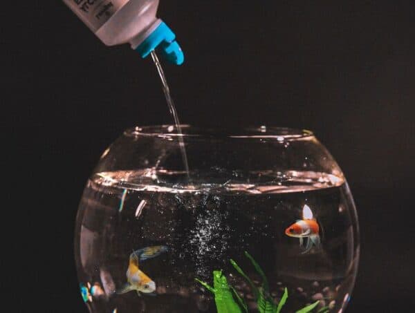 How Much SafeStart Per Gallon
