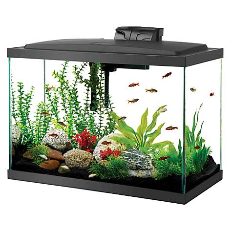 How Much Substrate for a 20 Gallon Tank - Aqueon LED Aquarium Kit 20H Black