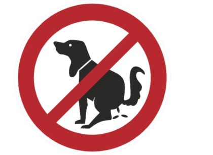 How To Keep a Dog From Pooping in Your Yard