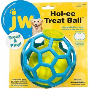 JW Pet Hol-ee Treat Ball Dog Toy