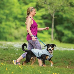 Kurgo Dog Core Cooling Vest In Blue