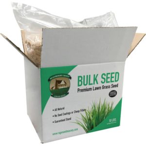 Lawn Grass Seed K-31 Tall Fescue