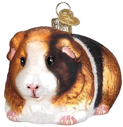 21 Gift Ideas for Guinea Pig Lovers 