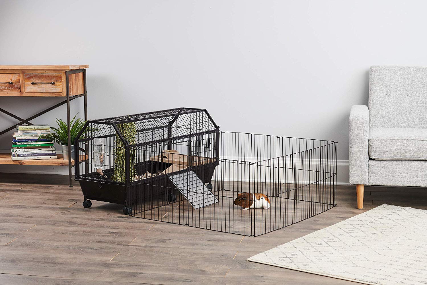 best-guinea-pig-cage-for-2-guinea-pig-cage-reviews