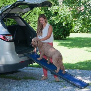 Pet Gear Full Length Bi-Fold Pet Ramp in Black and Blue