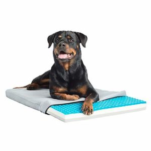 Pet Therapeutics TheraCool Gel Cell Cooling Pad with Tricore Charcoal-Infused Memory Foam Pet Bed