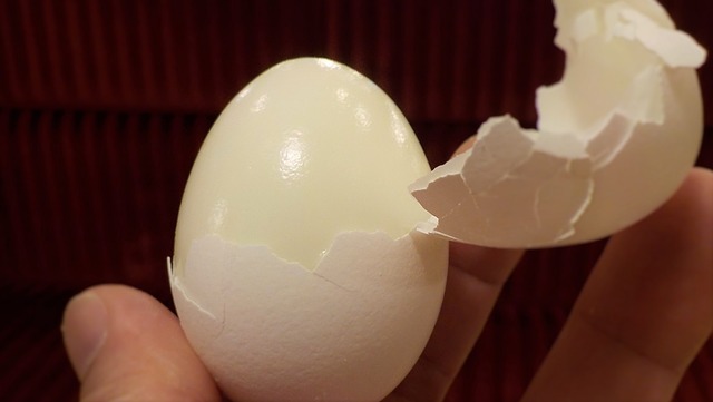 Protein Cockatiel Treats - Harde Boiled Egg