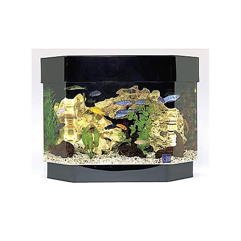 SeaClear 10 Gallon Mini-Kit, Black