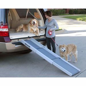 Solvit Deluxe TriScope Ramp