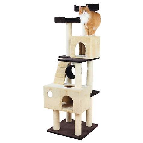 Best Cat Trees for Multiple Cats - The Pet Supply Guy